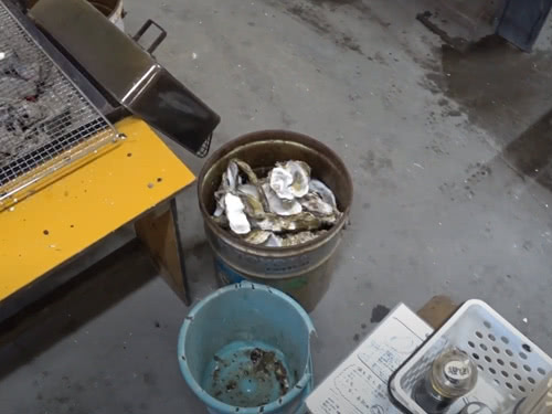 食後の牡蠣を入れたバケツ
